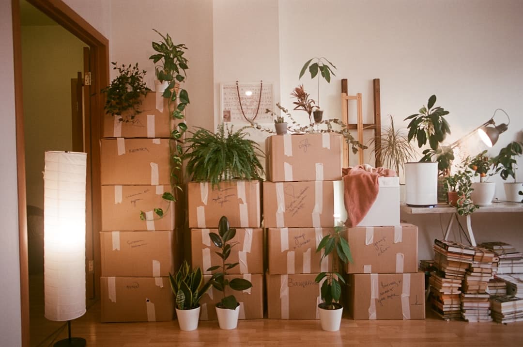 Moving boxes stacked in a rental property during tenant turnover season